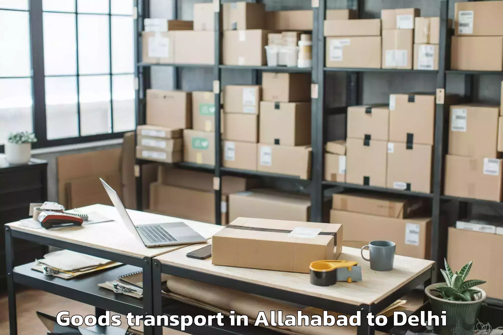 Comprehensive Allahabad to Unity One Mall Cbd Shahdara Goods Transport